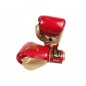 Kanong Muay Thai Boxing Gloves : Thai Power Red/Gold